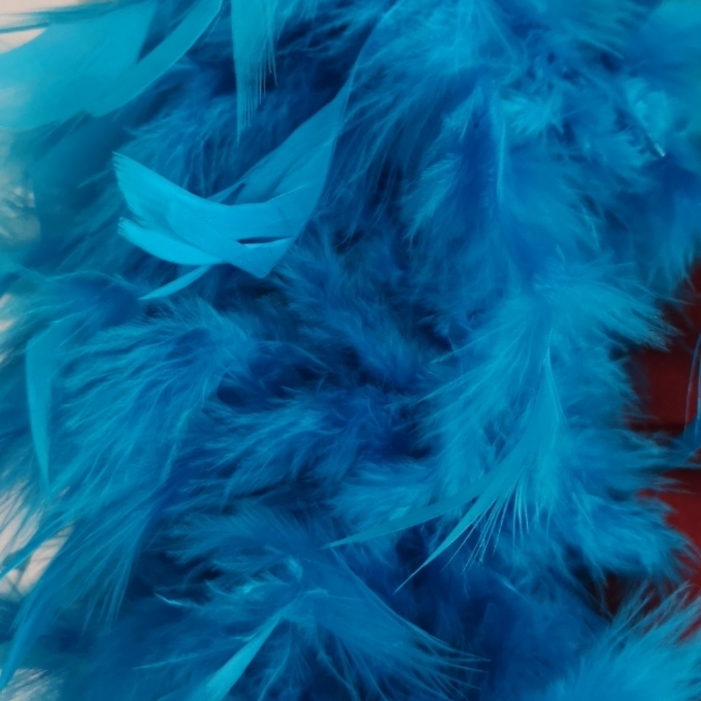 Feather Boa - Picture 4 of 4
